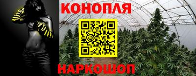 ALPHA PVP Обнинск