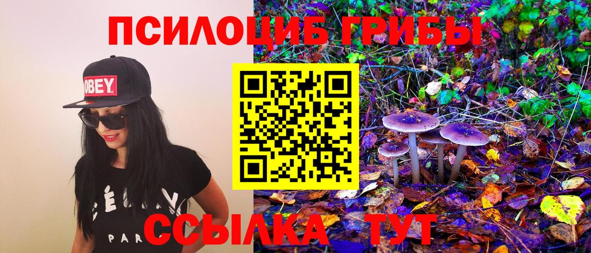 Галлюциногенные грибы Psilocybine cubensis  Вход с VPN  Пушкино 