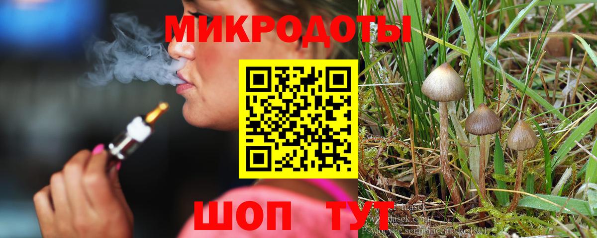 Галлюциногенные грибы Psilocybe Пушкино